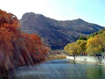 新澳门二四六天天彩，黄泉逆旅